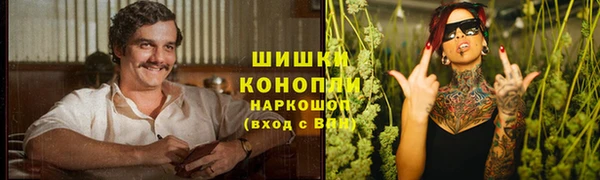 прущие грибы Богданович