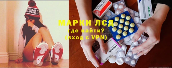 прущие грибы Богданович
