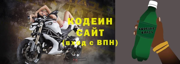 хмурый Богородицк