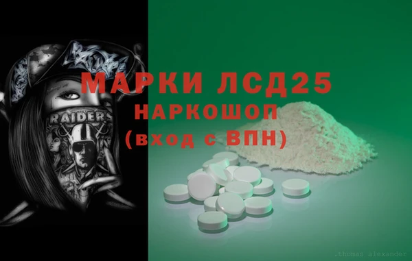 прущие грибы Богданович