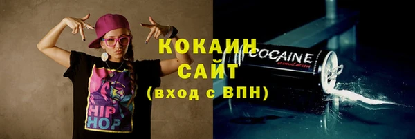 прущие грибы Богданович