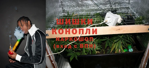 ешки Богородск
