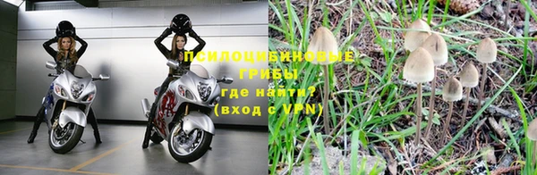 хмурый Богородицк
