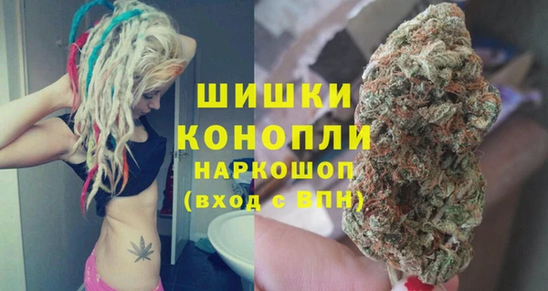 хмурый Богородицк