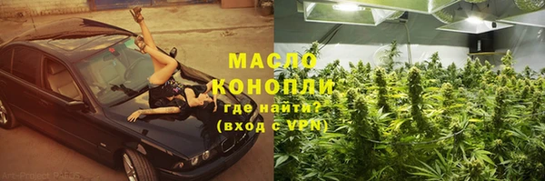 прущие грибы Богданович