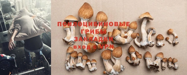 хмурый Богородицк