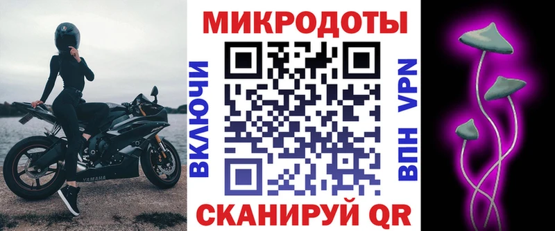 Псилоцибиновые грибы Cubensis  Берёзовский 